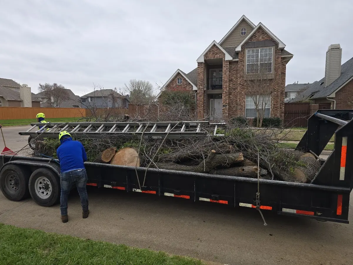 Expert Tree Fertilization with proper safety equipment in Drakes Branch